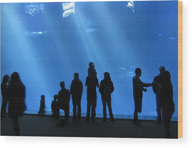 Aquarium Wood Print featuring the photograph Aquarium Silhouettes by Erik Burg