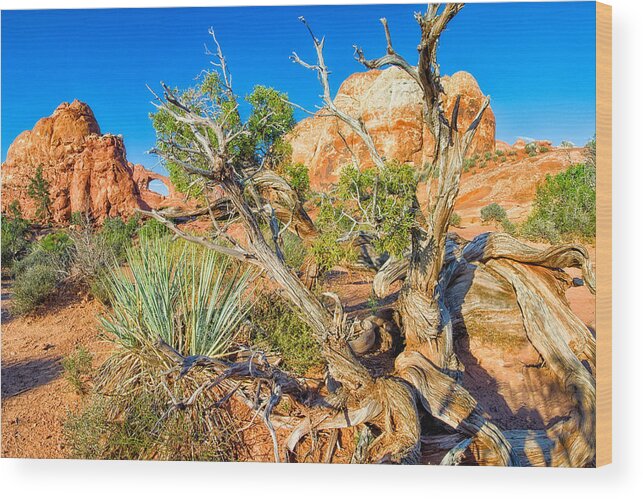 Utah Wood Print featuring the photograph Arch by Daniel George