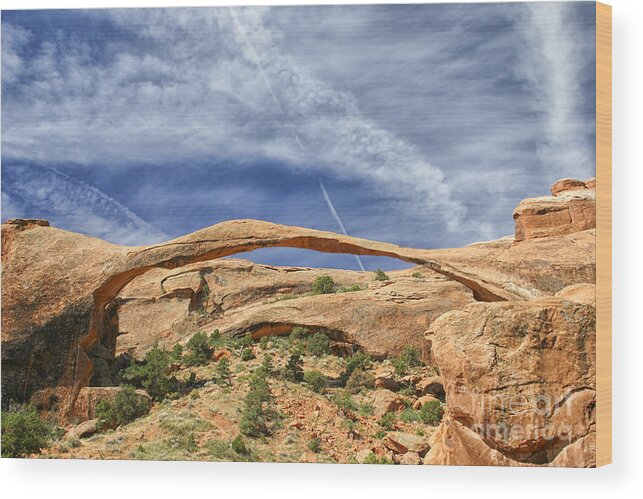 America Wood Print featuring the photograph Arched by Patricia Hofmeester