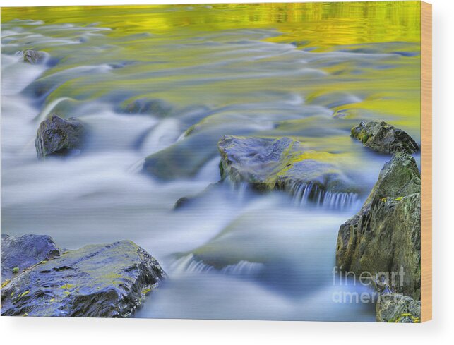 River Wood Print featuring the photograph Argen River by Silke Magino