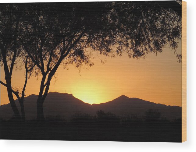 Arizona Sunset Wood Print featuring the photograph Arizona Sunset by Bill Tomsa