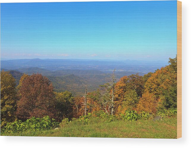 Great Wood Print featuring the photograph Arnold Valley in Virginia by Jill Lang