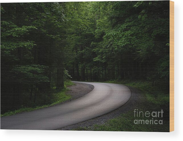 Drive Wood Print featuring the photograph Around The Bend by Andrea Silies