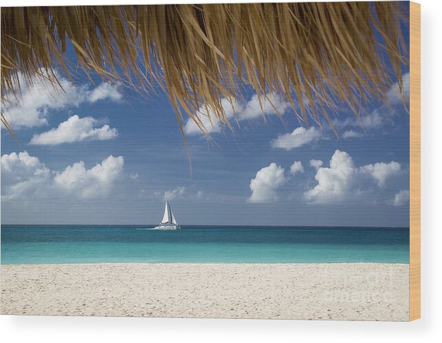 Aruba Wood Print featuring the photograph Aruba Sailing by Brian Jannsen