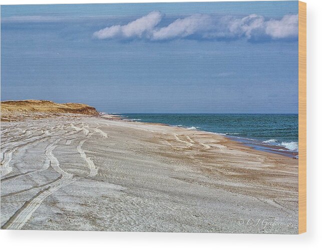  Nauset Wood Print featuring the photograph As Far As The Eye Can See by Constantine Gregory