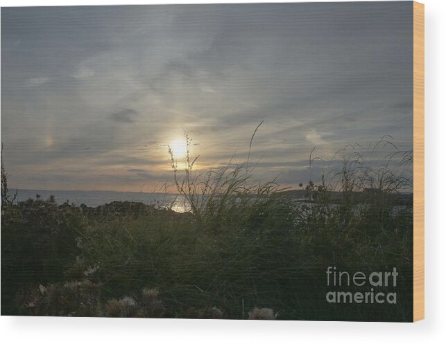 Setting Sun Wood Print featuring the photograph As grass under the sun by Elena Perelman
