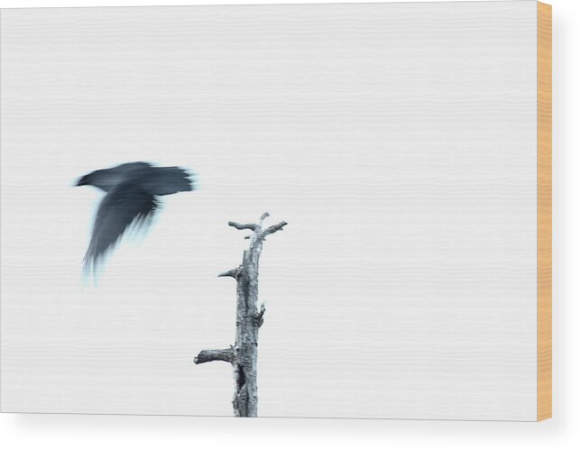 Nature Wood Print featuring the photograph As The Crow Flies by Kreddible Trout