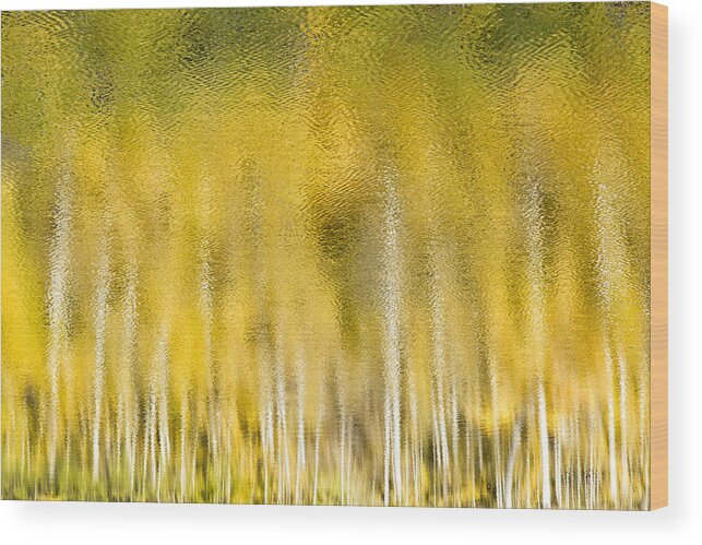 Abstract Wood Print featuring the photograph Aspen Abstract by Denise Bush
