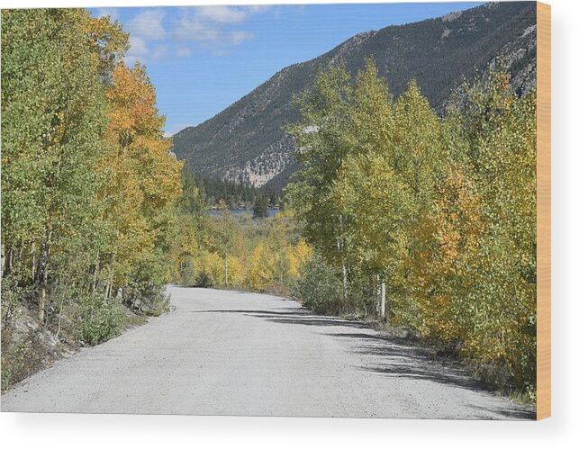 Aspen_line_road Wood Print featuring the photograph Aspen Lined Road by Margarethe Binkley