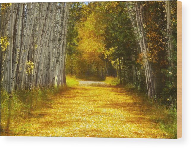 Aspens Wood Print featuring the photograph Say You'll Follow Me by Amanda Smith