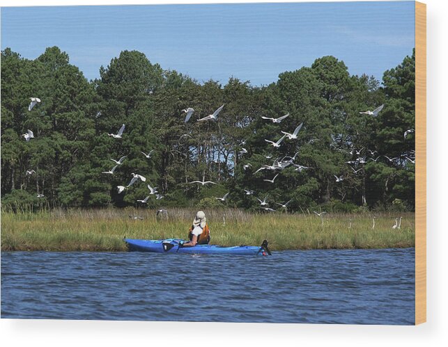 De Wood Print featuring the photograph Assawoman Wildlife Area #04726 by Raymond Magnani