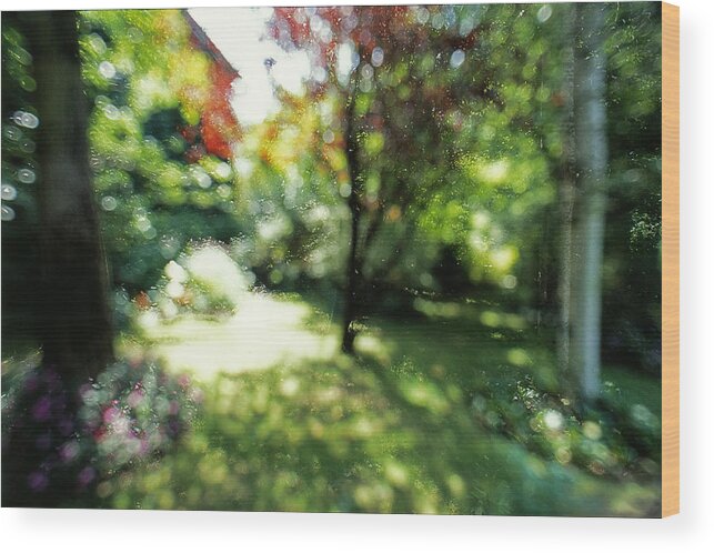 Impressionism Wood Print featuring the photograph At Claude Monet's Water Garden 7 by Dubi Roman