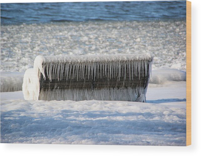 Minnesota Wood Print featuring the photograph At the Beach in Minnesota by Tingy Wende