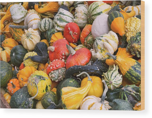 Gourds Wood Print featuring the photograph At the Farmers Market - Squash and Pumpkins by Peggy Collins