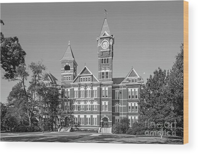 Auburn University Wood Print featuring the photograph Auburn University Samford Hall by University Icons