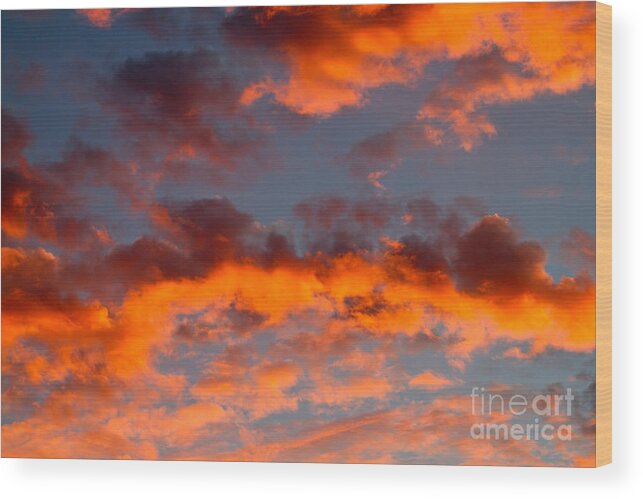 Sunset Wood Print featuring the photograph Australian Sunset by Louise Heusinkveld