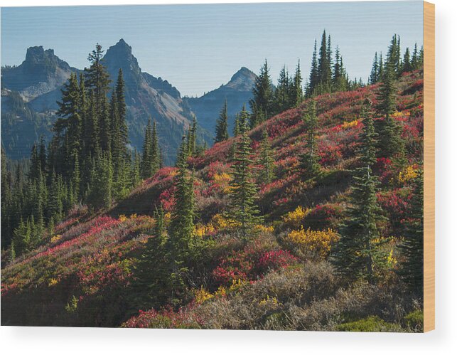 Landscape Wood Print featuring the photograph Autumn Beauty by Doug Scrima