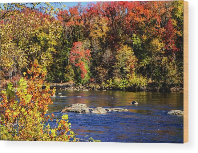 Color Wood Print featuring the photograph Autumn by the River -1 by Alan Hausenflock