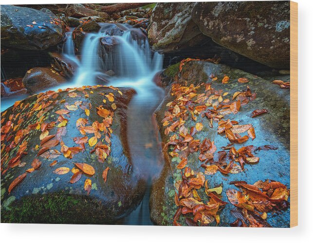 Chimney Tops Wood Print featuring the photograph Autumn Cascade In The Smokies by Rick Berk