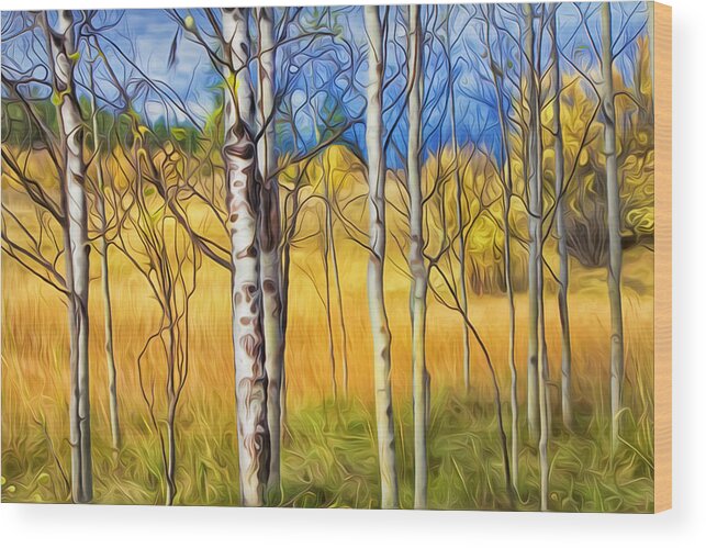 Autumn Wood Print featuring the photograph Autumn Colours by Theresa Tahara
