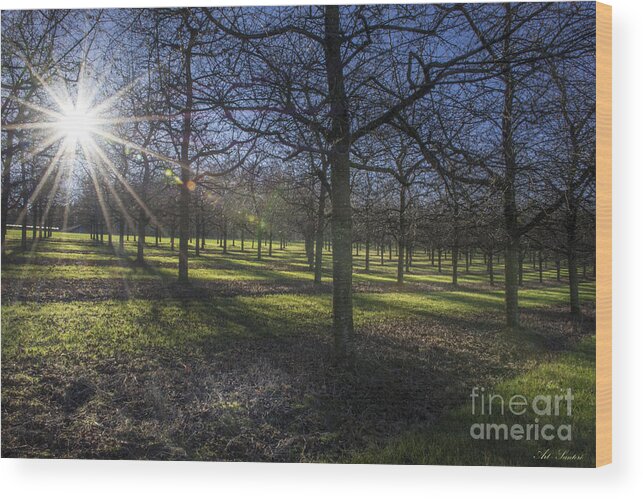 Autumn Wood Print featuring the photograph Autumn Day by Bruno Santoro