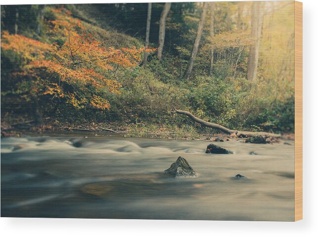 Autumn Wood Print featuring the photograph Autumn Dreamscape by Shane Holsclaw