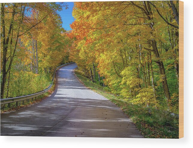 Fall Wood Print featuring the photograph Autumn Drive by Gary McCormick