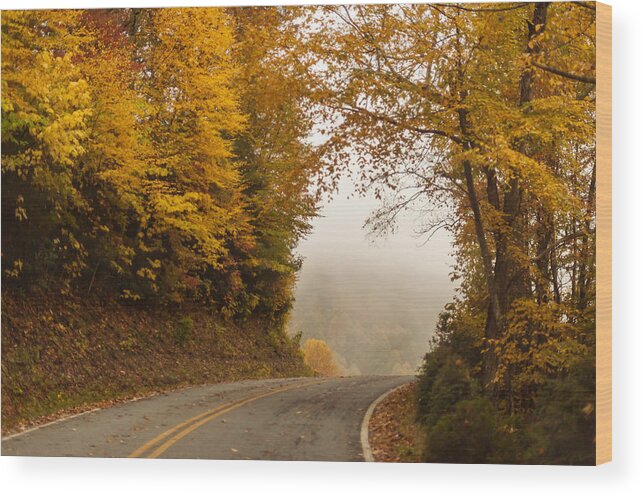 Terry D Photography Wood Print featuring the photograph Autumn Drive North Carolina by Terry DeLuco