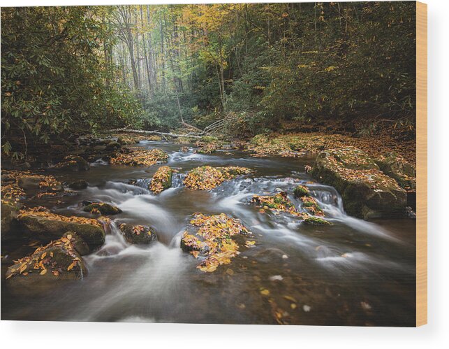 Fall Colors Wood Print featuring the photograph Autumn Forest Stream by Scott Slone