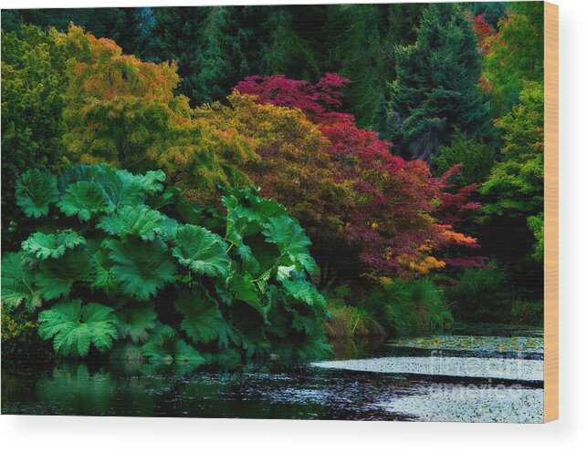 Fall Wood Print featuring the photograph Autumn Has Begun by Venetta Archer