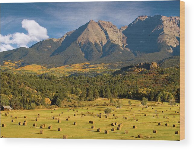 Colorado Wood Print featuring the photograph Autumn Hay in the Rockies by Steve Stuller