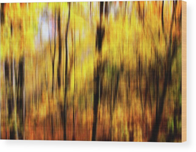 Color Wood Print featuring the photograph Autumn Impressions -1 by Alan Hausenflock