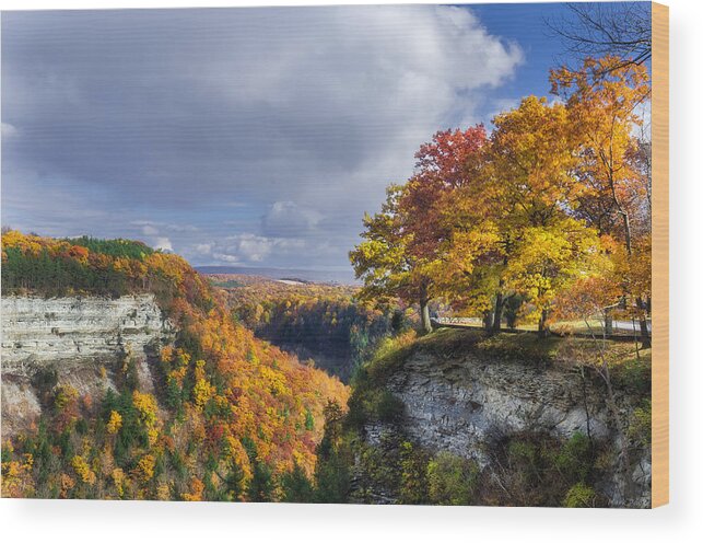 Letchworth State Park Wood Print featuring the photograph Autumn in Letchworth by Mark Papke