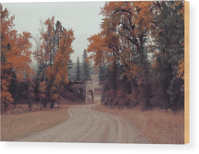 Montana Wood Print featuring the photograph Autumn in Montana by Cathy Anderson