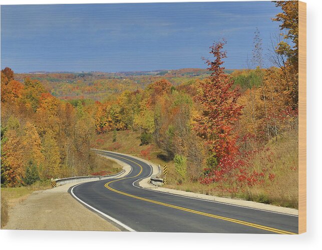  Mono Wood Print featuring the photograph Autumn in the Hockley Valley by Gary Hall
