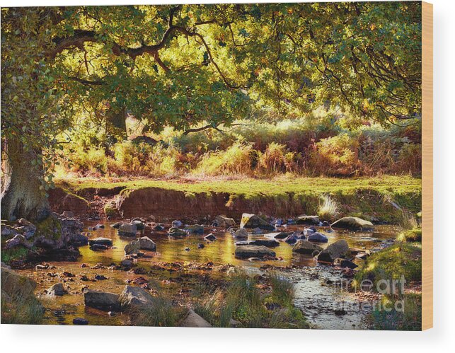 Color Wood Print featuring the photograph Autumn in the Valley by John Edwards