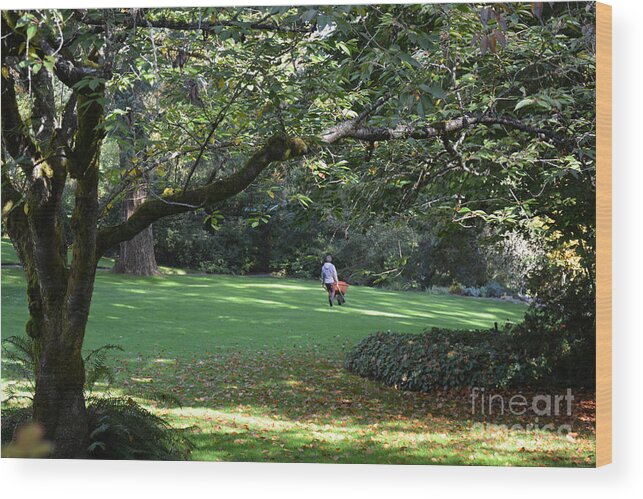 Park Wood Print featuring the photograph Autumn In The Park by Tatyana Searcy