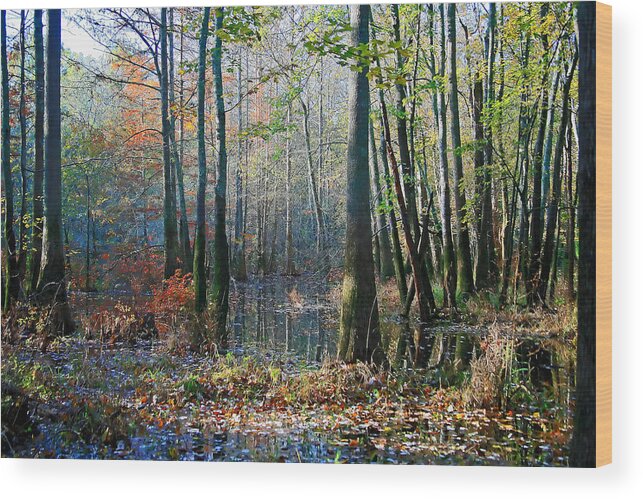 Autumn Wood Print featuring the photograph Autumn in the Swamp by James Jones
