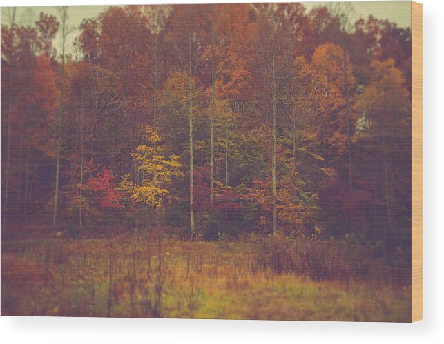 Autumn Wood Print featuring the photograph Autumn In West Virginia by Shane Holsclaw