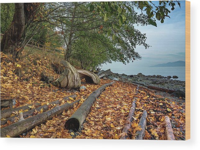 Alex Lyubar Wood Print featuring the photograph Autumn landscape on a wild beach by Alex Lyubar