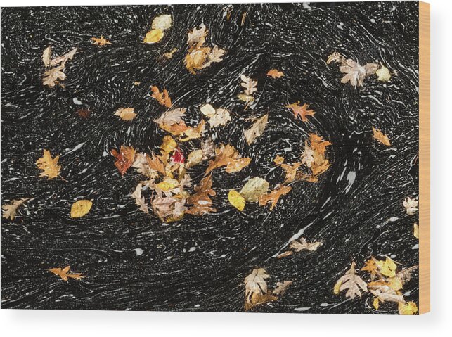 David Letts Wood Print featuring the photograph Autumn Leaves Abstract by David Letts