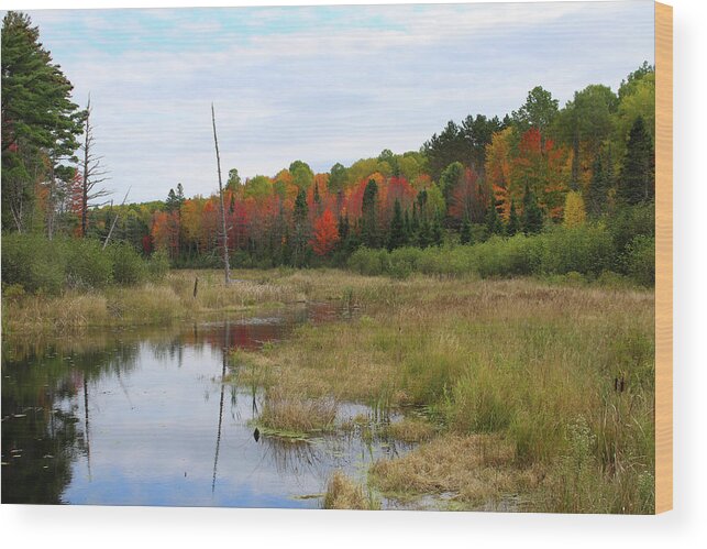 Autumn Wood Print featuring the photograph Autumn Marsh View by Brook Burling