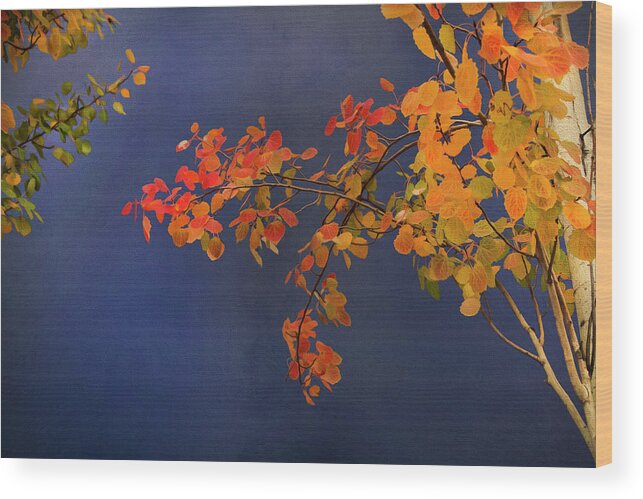 Trees Wood Print featuring the photograph Autumn Matinee by Theresa Tahara