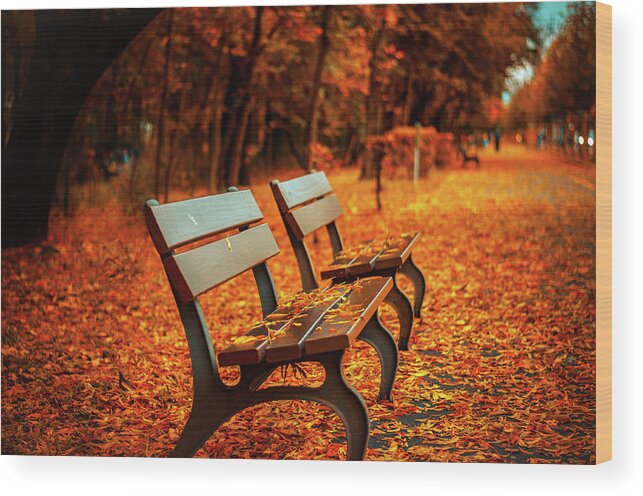 Orange Wood Print featuring the photograph Autumn Moments by Happy Home Artistry