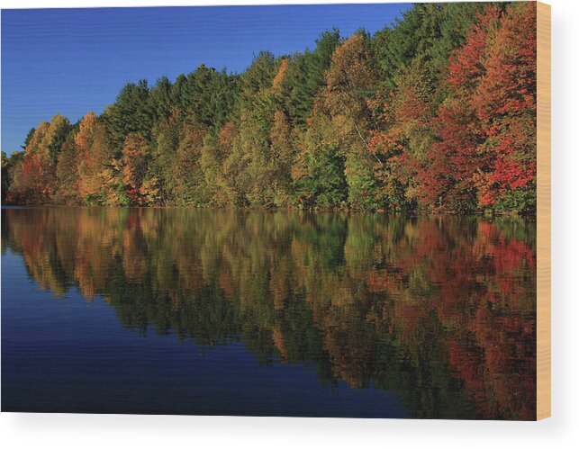 Autumn Wood Print featuring the photograph Autumn Reflection of Colors by Karol Livote