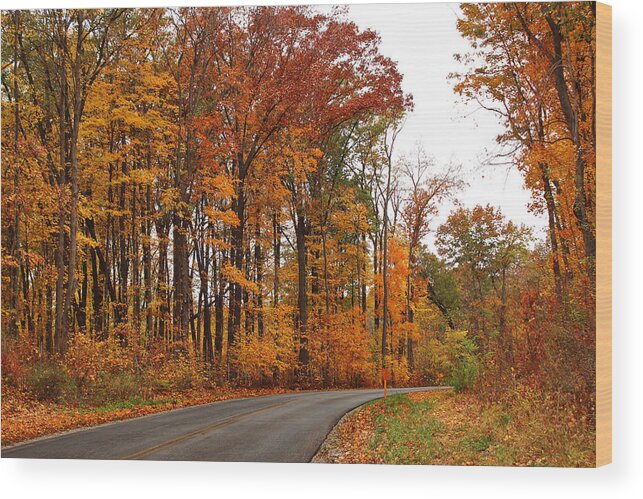 Autumn Wood Print featuring the photograph Autumn Road Trip by Shawna Rowe