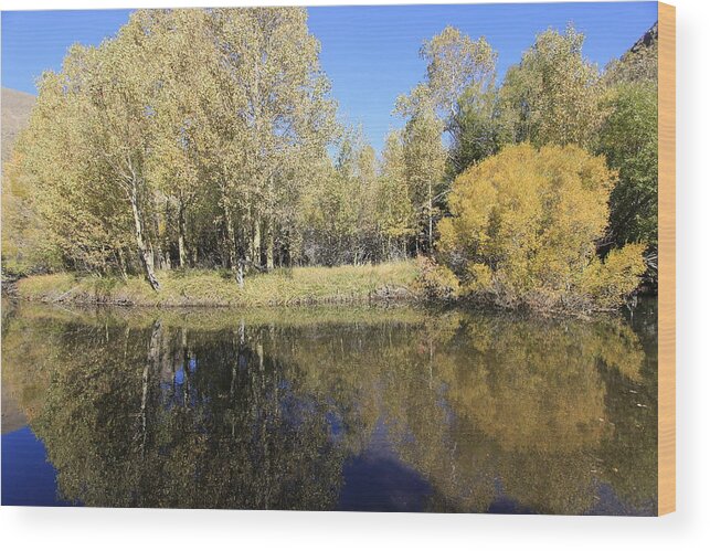 Mono County Wood Print featuring the photograph Autumn Rush Creek by Sean Sarsfield