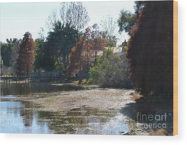 Water Wood Print featuring the photograph Autumn Serenity by Carol Bradley