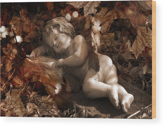 Angel Wood Print featuring the photograph Autumn Sleep by Marc Huebner