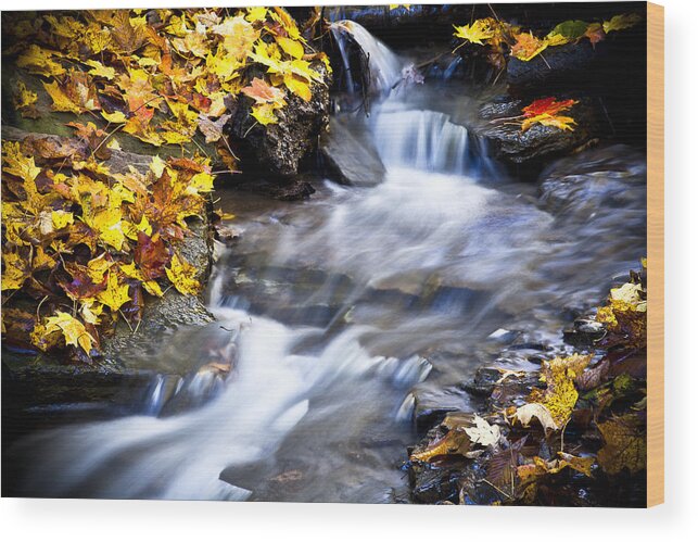 Autumn Stream No 2 Wood Print featuring the photograph Autumn Stream No 2 by Kamil Swiatek